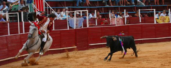 Álvaro Múnera — The Last Bullfight