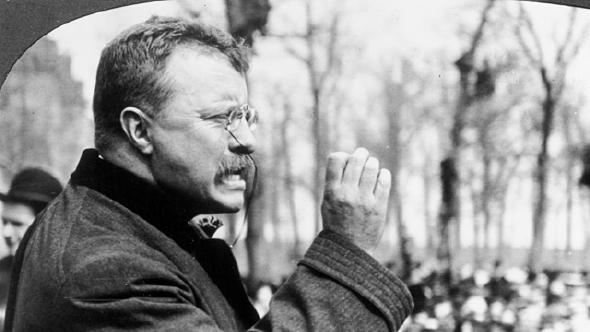 What did Theodore Roosevelt do?