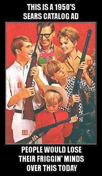 Image result for sears ad with family and guns