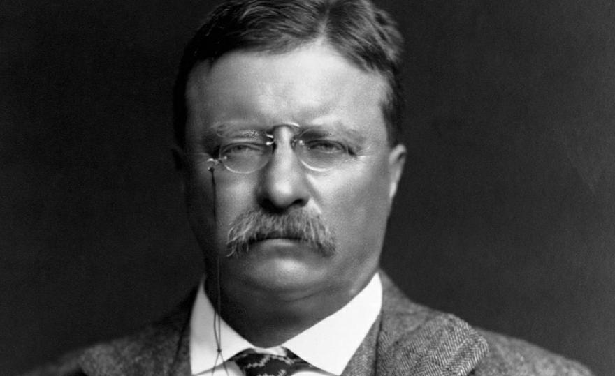 theodore roosevelt contributions to environment