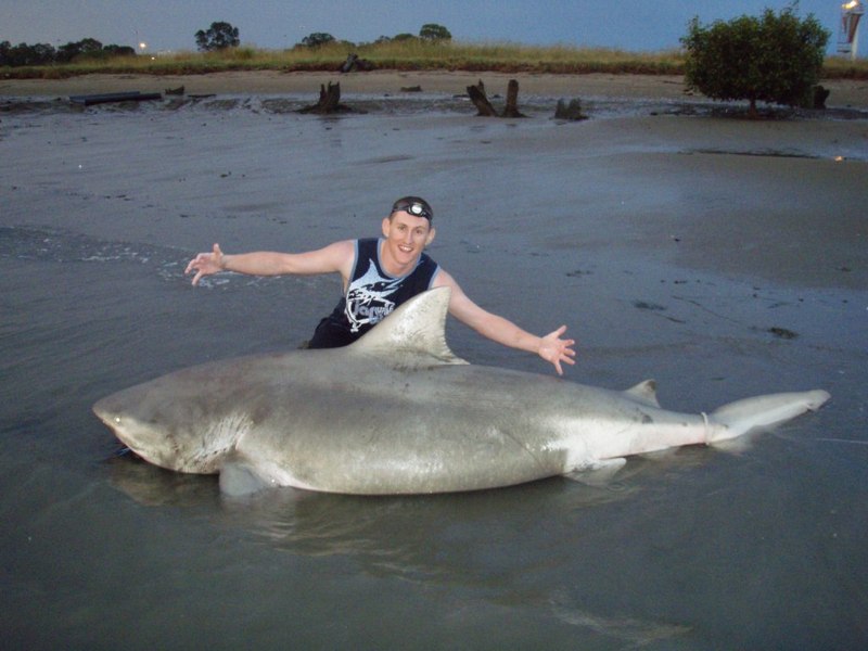 Was This Bull Shark Caught in the Ohio River?