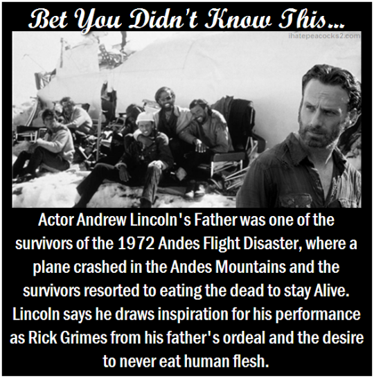 andrew lincoln andes disaster