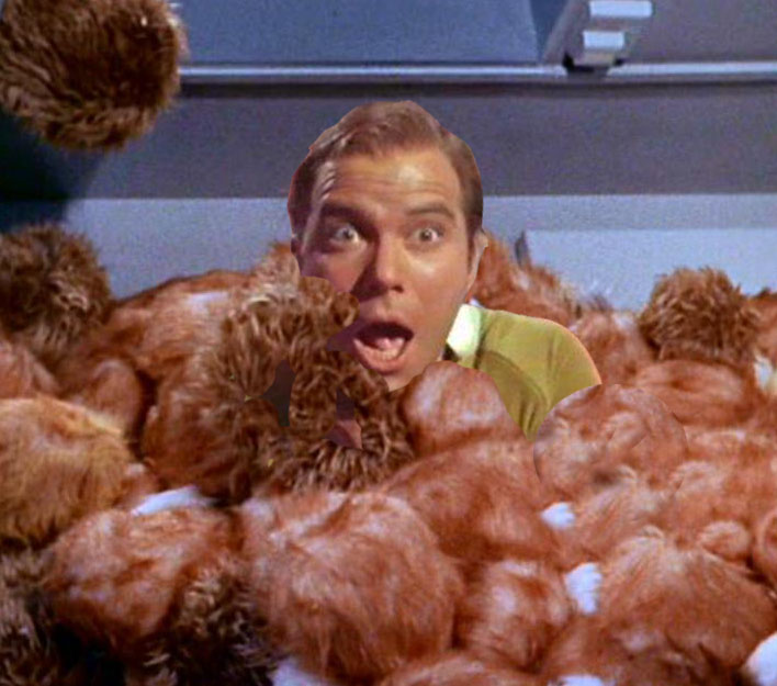 https://www.snopes.com/tachyon/2016/04/trouble-with-tribbles.jpeg