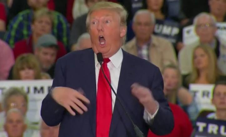 Image result for trump mocking challenged kid on campaign trail