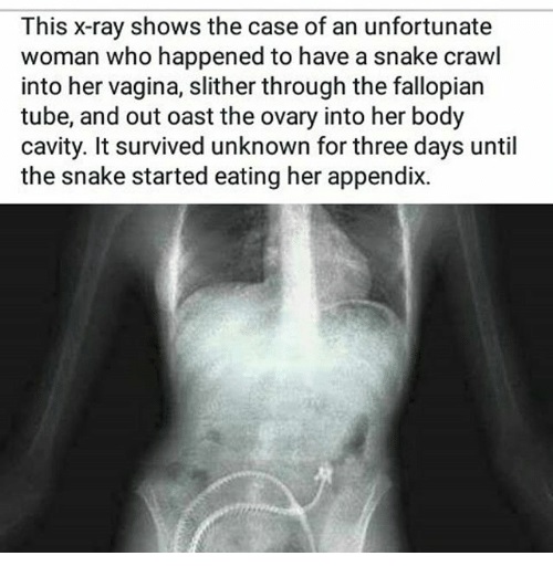 Snake in her vagina