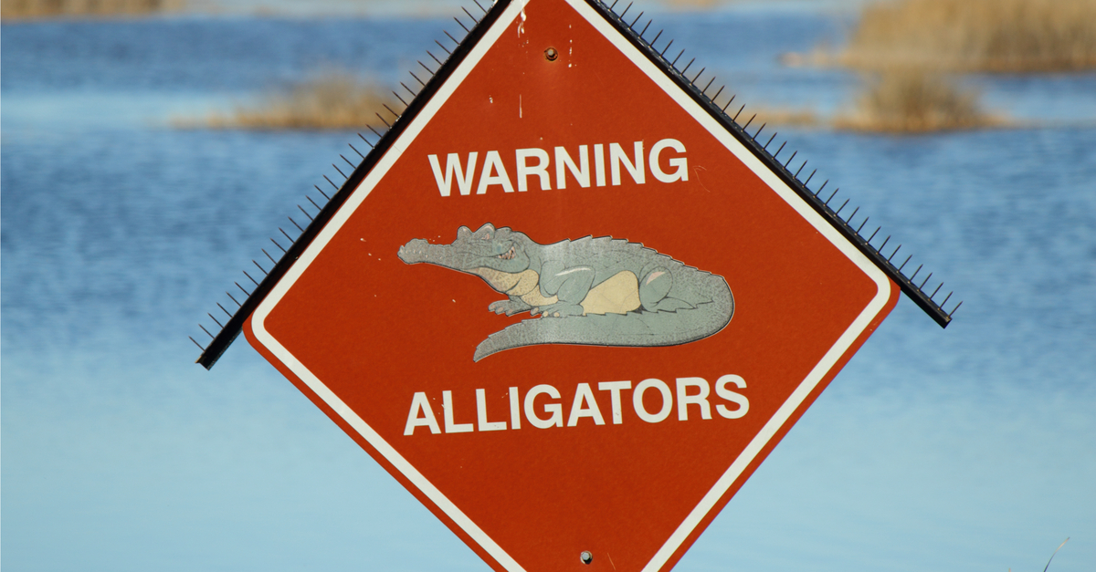 Sign that reads "Warning Alligators"