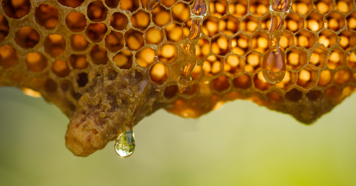 Honeycomb with honey dripping from it