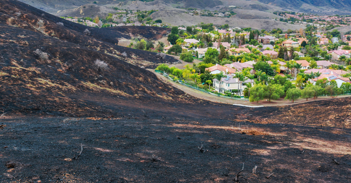 Burnt hillside looking over undamaged residential area