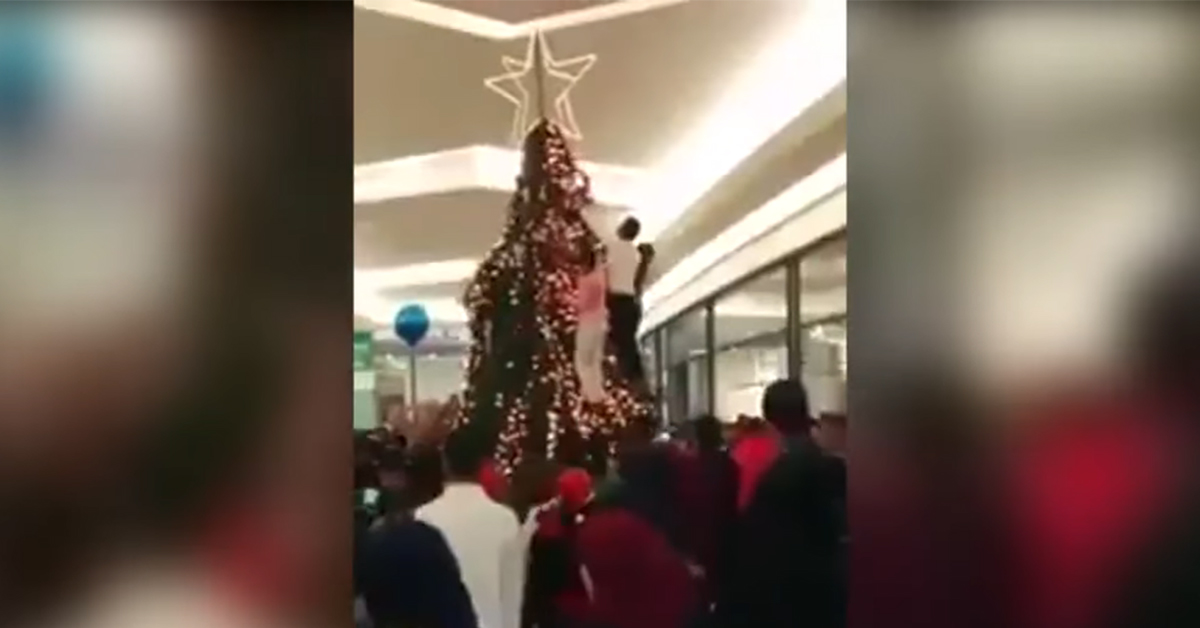 Screenshot of miscaptioned video people climbing on Chistmas tree