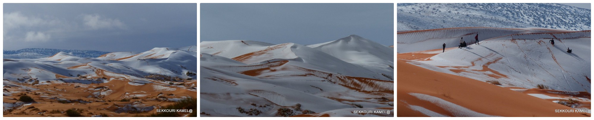 Fact Check Snowfall In The Sahara Desert,Black White Grey Color Palette