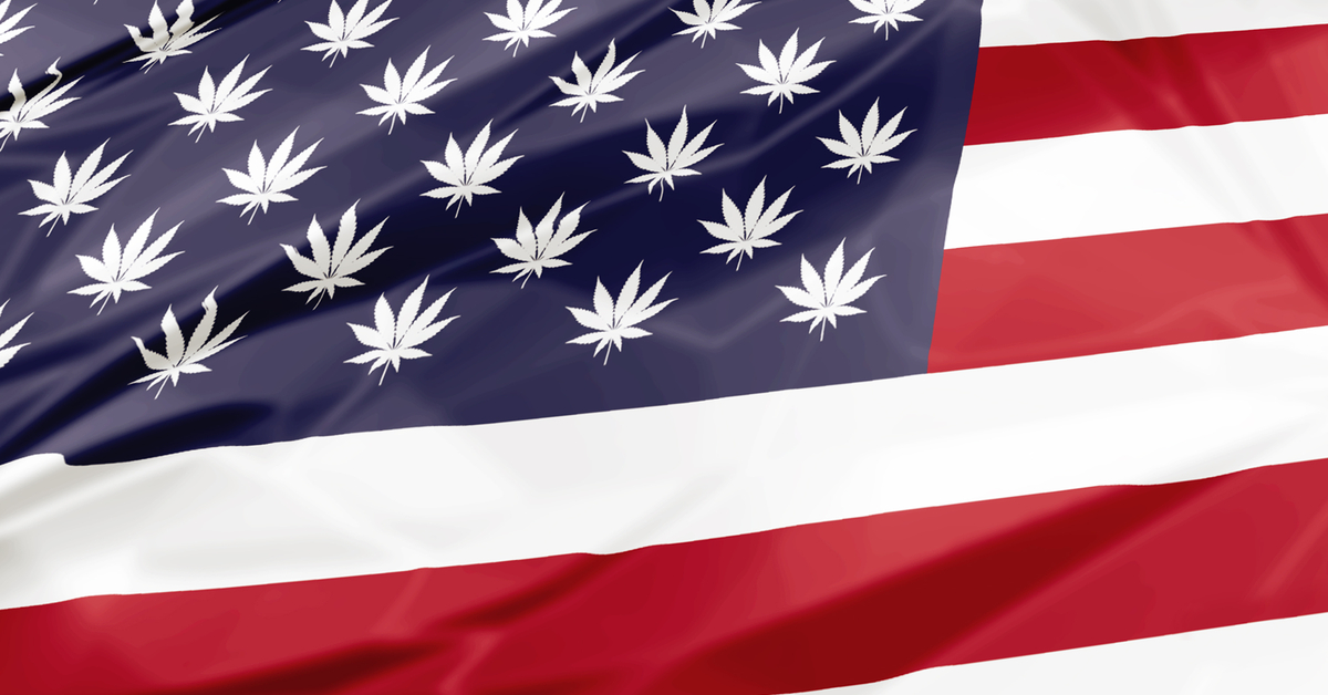 American flag with marijuana leaves instead of stars.