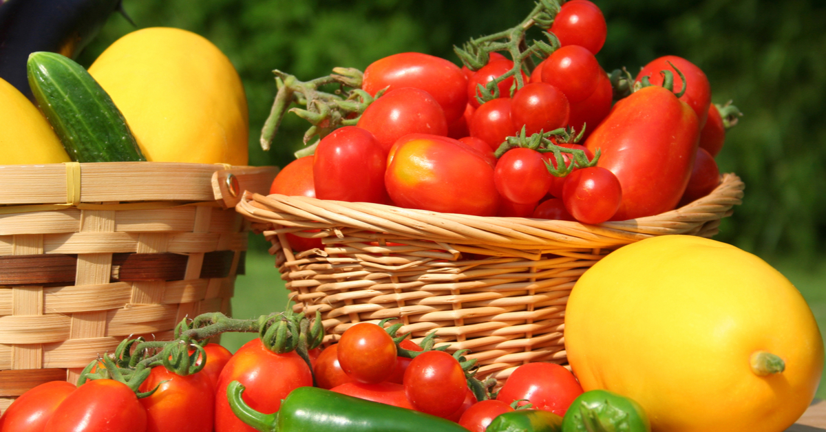 Baskets of summer vegetables: tomatoes, squash, etc.