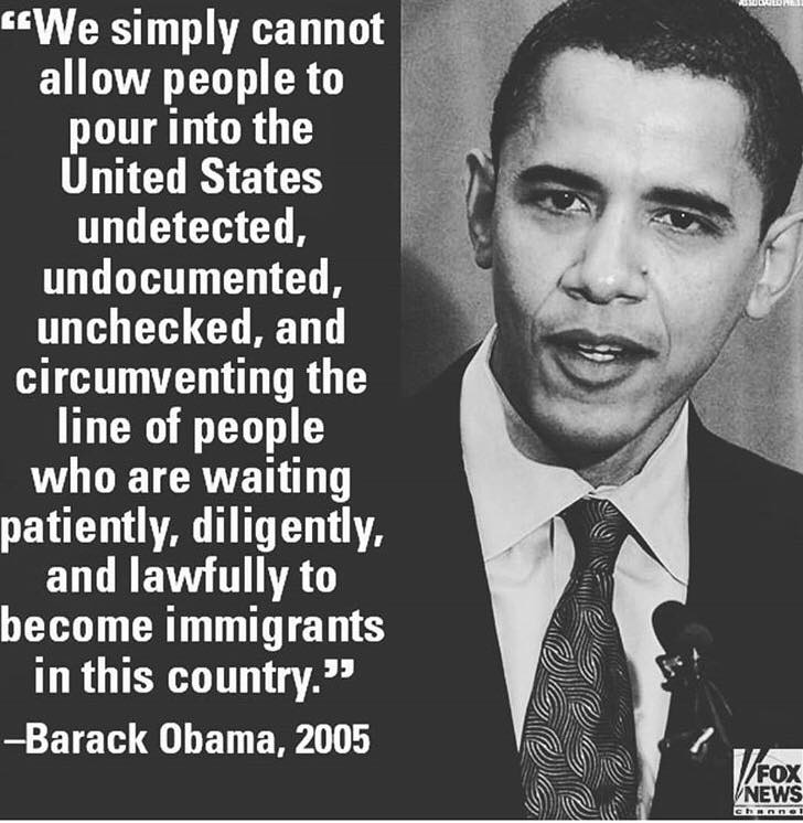 Image result for obama on illegal immigration