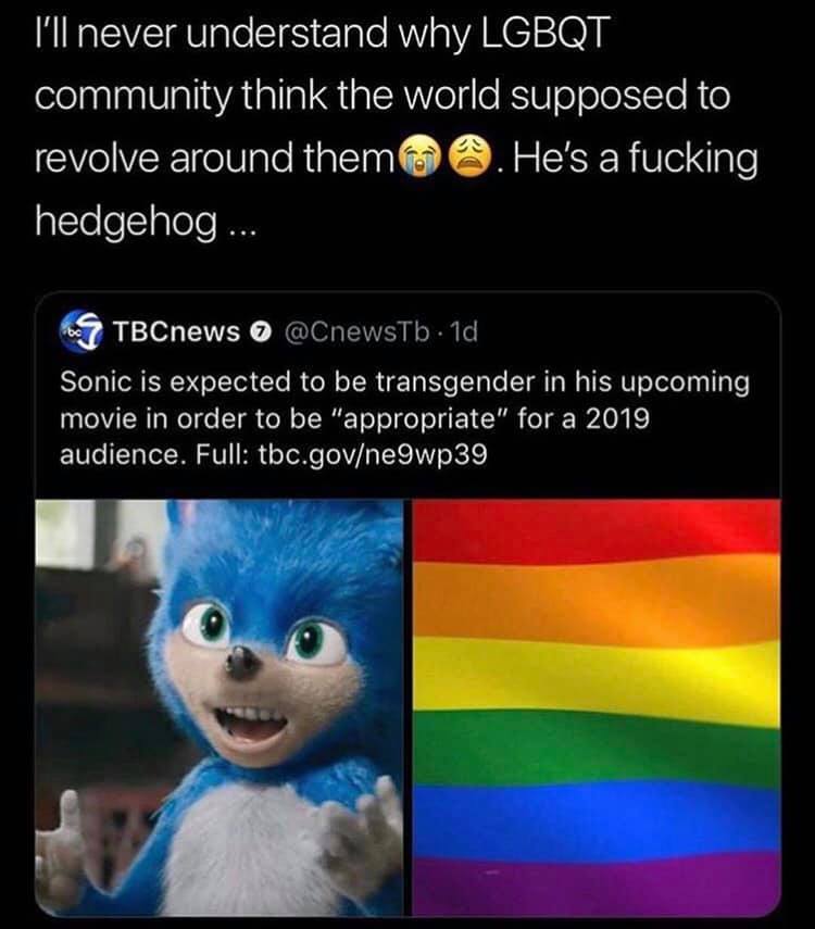 sonic is trans theory｜TikTok Search