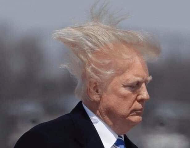 When can we get back to Donald Trump's hair? Ll0Qfo5