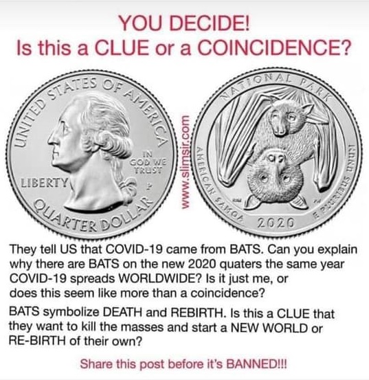 Do Bats On 2020 U S Quarters Demonstrate A Government Covid 19 Plot,Oil And Vinegar Dressing Recipe