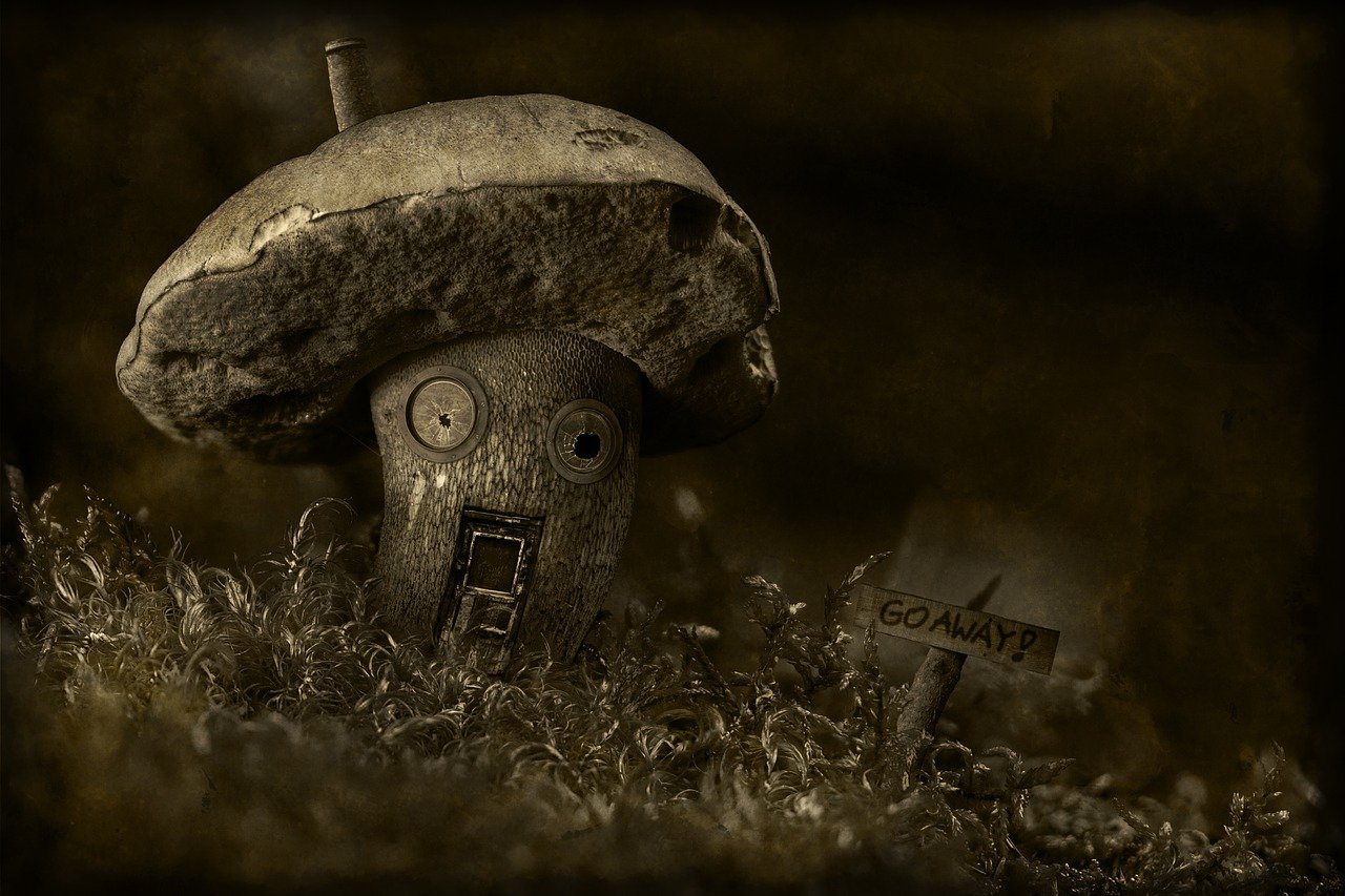 spooky mushrooms