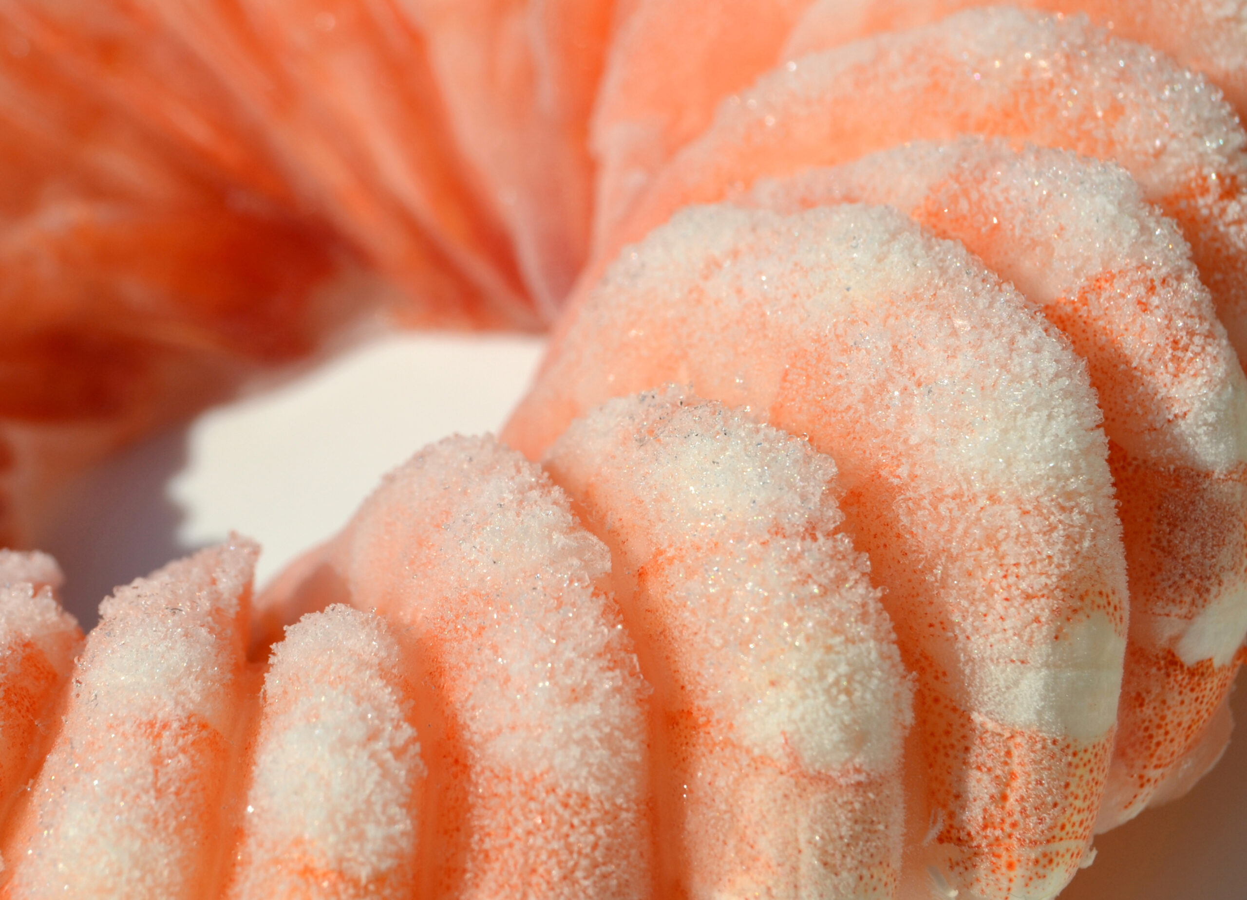 A seafood production company issued a voluntary recall for various packaged frozen shrimp products due to potential contamination with the food-borne illness salmonella.