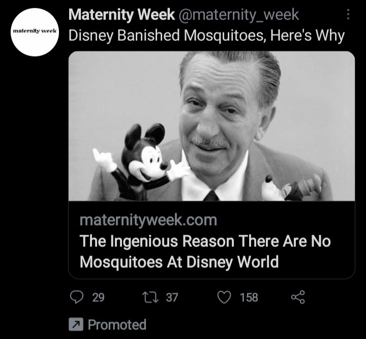 Disney World has no mosquitoes or so headlines YouTube videos and ads claimed.