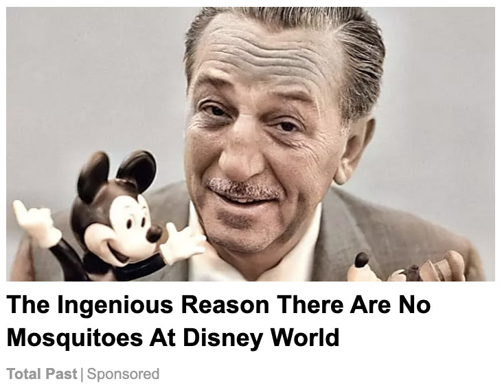 Disney World no tiene mosquitos o eso es lo que dicen los titulares de videos y anuncios de YouTube.