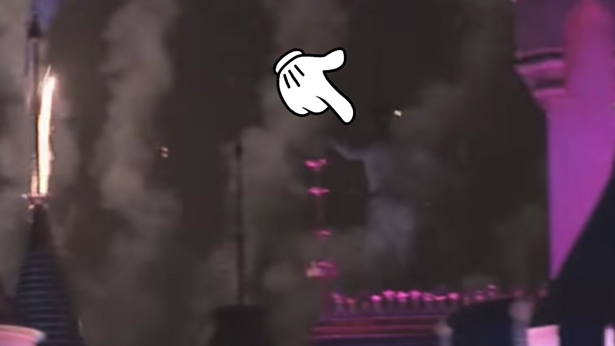 A ghost purportedly appeared on Disneyland Park's Cinderella Castle during a fireworks show.