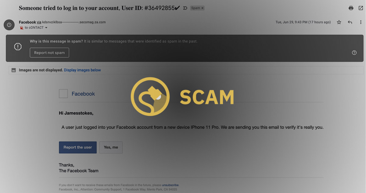 The someone tried to log in to your account Facebook email scam.