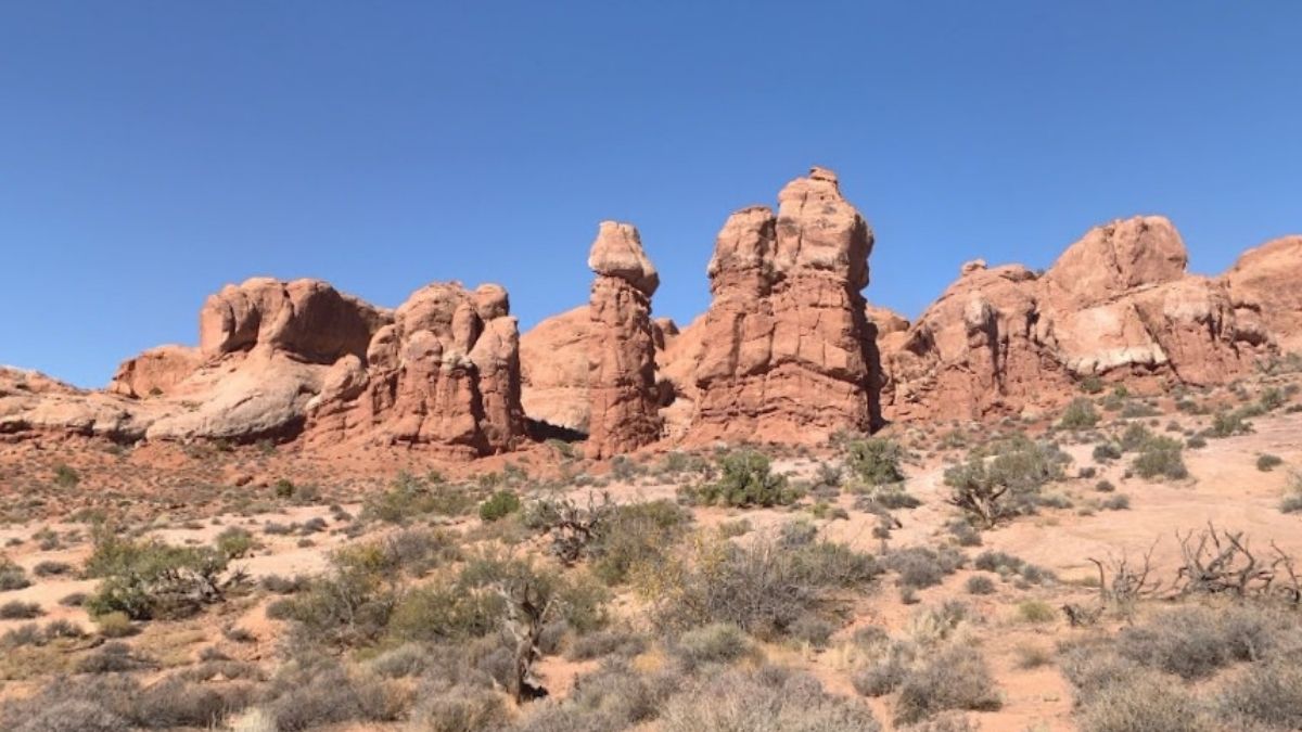 A photograph supposedly showing a phallic-shaped rock was widely shared on social media.