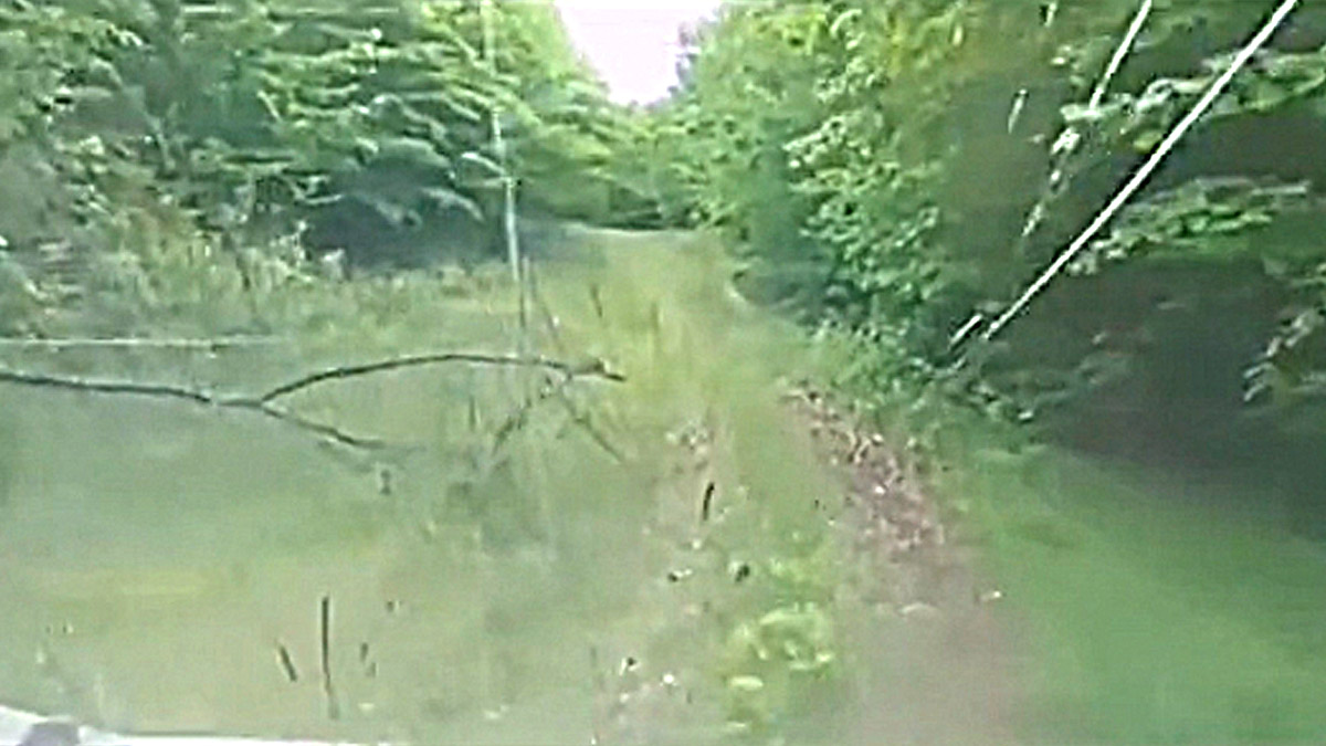 Bigfoot was purportedly filmed from an ATV or UTV in a viral TikTok video and chased a group of men.