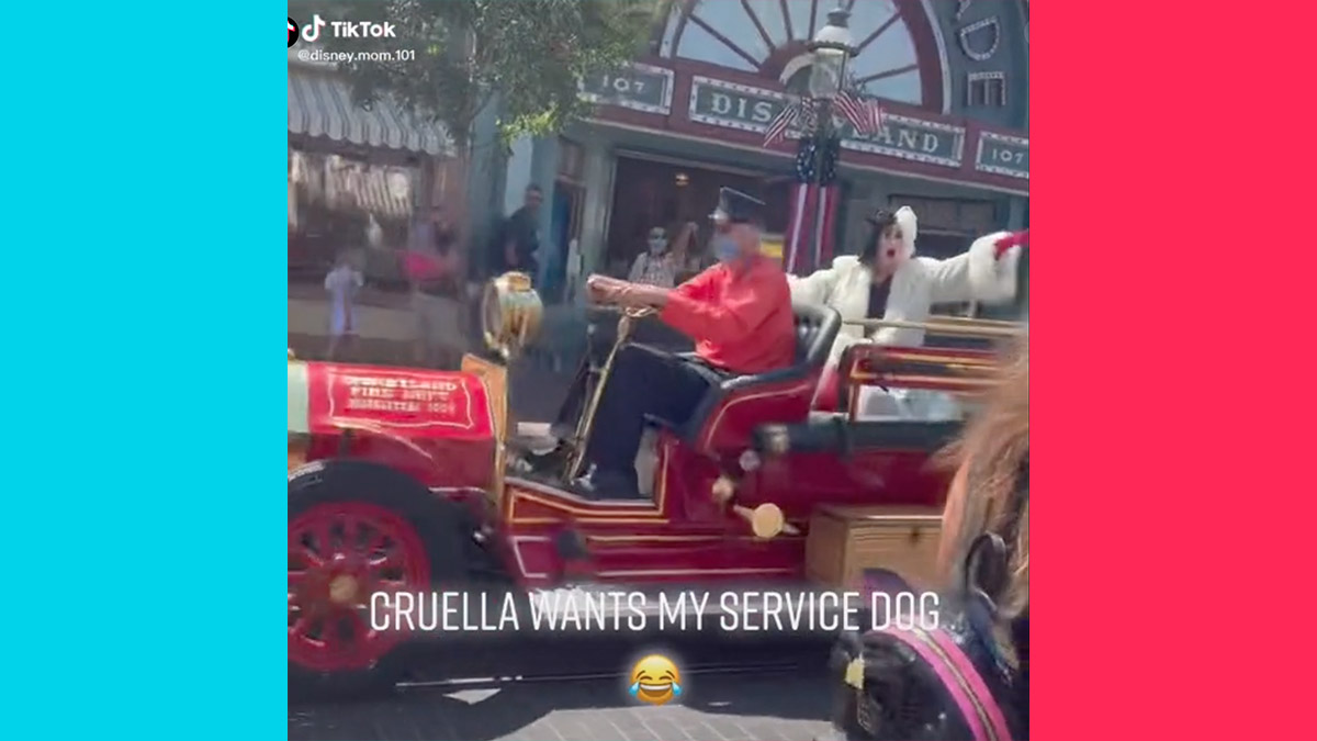 Cruella de Vil spotted a service dog in Disneyland and yelled to stop the car in a TikTok video.