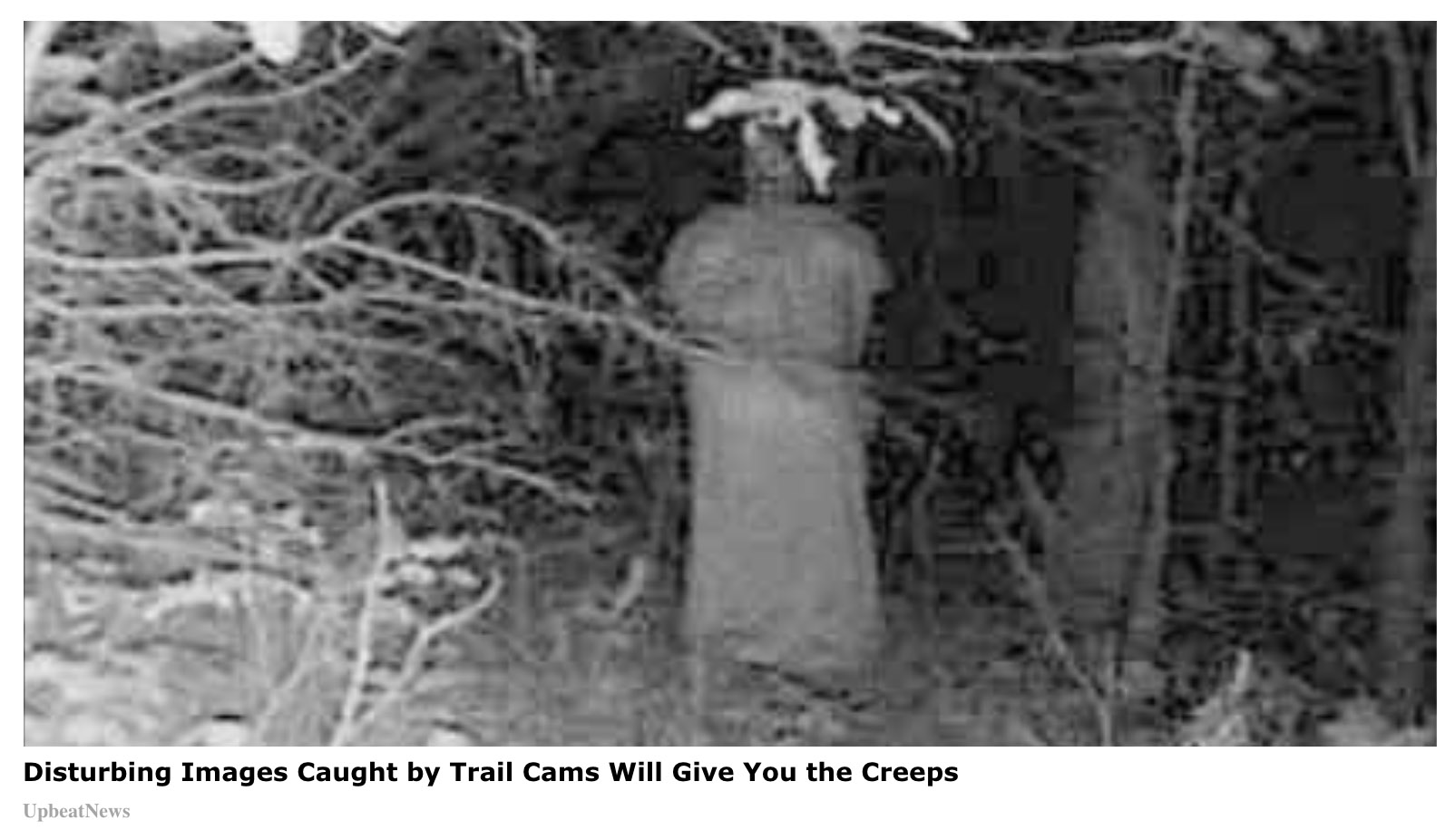 This purportedly paranormal figure or ghost or demon or alien in the woods was supposedly caught on a trail camera or trail cam.