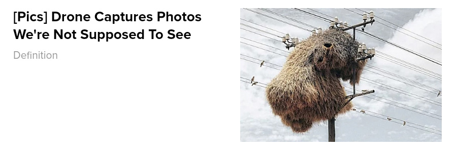 An ad showing a massive weaver birds nest nest on a telephone pole or power lines claimed to show a drone photograph that captures a photo we're not supposed to see.