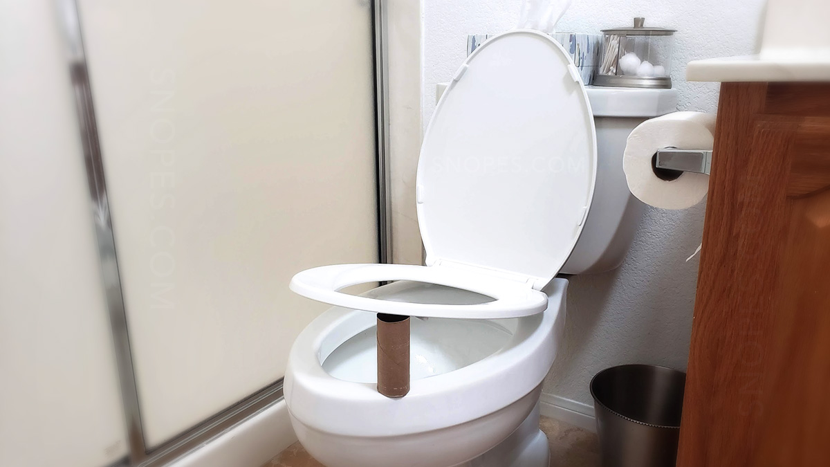 Should an Empty Toilet Paper Roll or Red Cup Be Placed Under the Toilet Seat  at Night? | Snopes.com