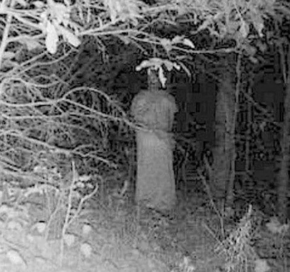 This purportedly paranormal figure or ghost or demon or alien in the woods was supposedly caught on a trail camera or trail cam.