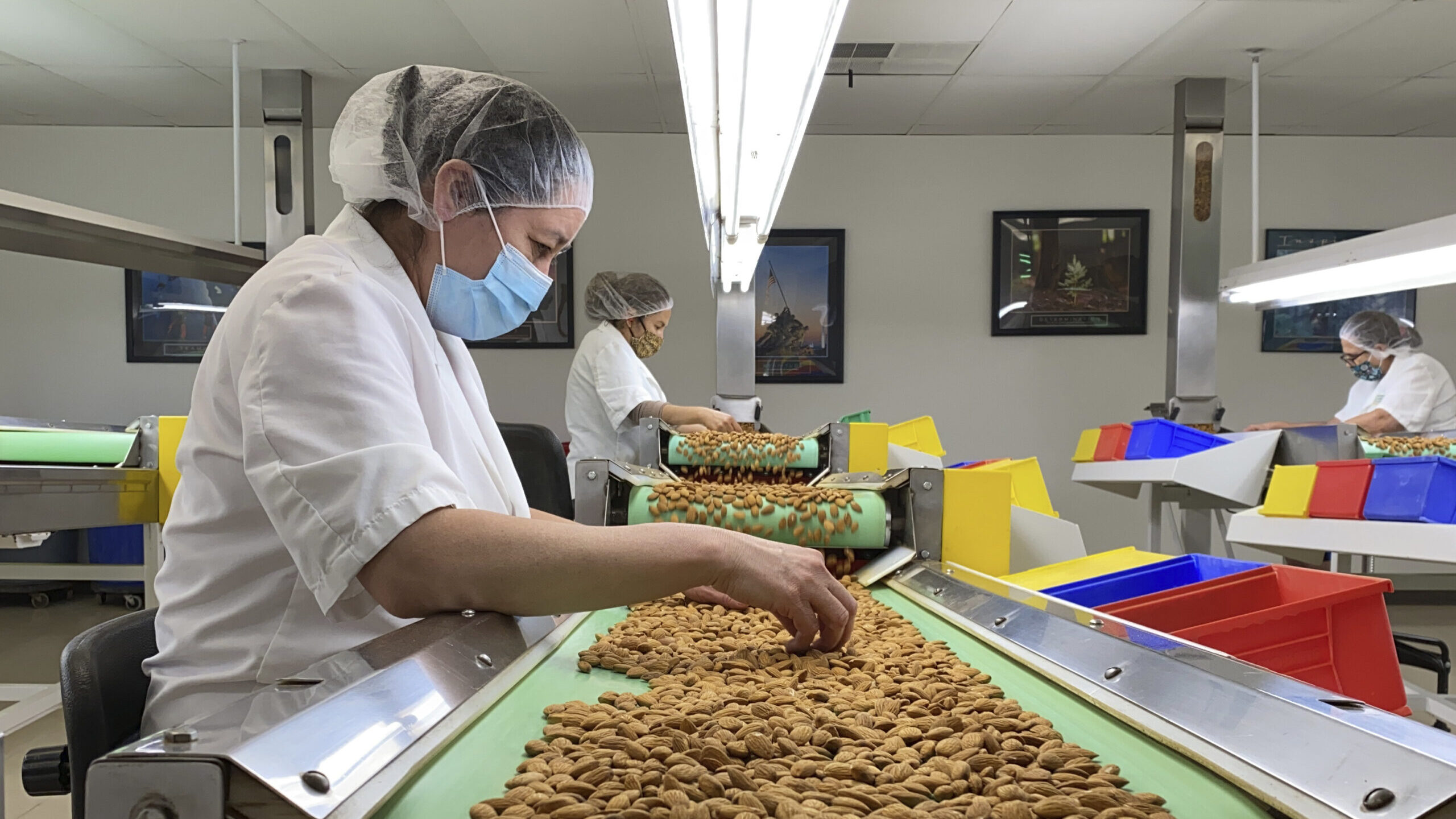 Employees inspect almonds in the processing facility at Steward & Jasper Orchards in Newman, Calif. on July 20, 2021. California's deepening drought threatens its $6 billion almond industry, which produces about 80 percent of the world's almonds. As water becomes scarce and expensive, some growers have stopped irrigating their orchards and plan to tear them out years earlier than planned. (AP Photo/Terry Chea)