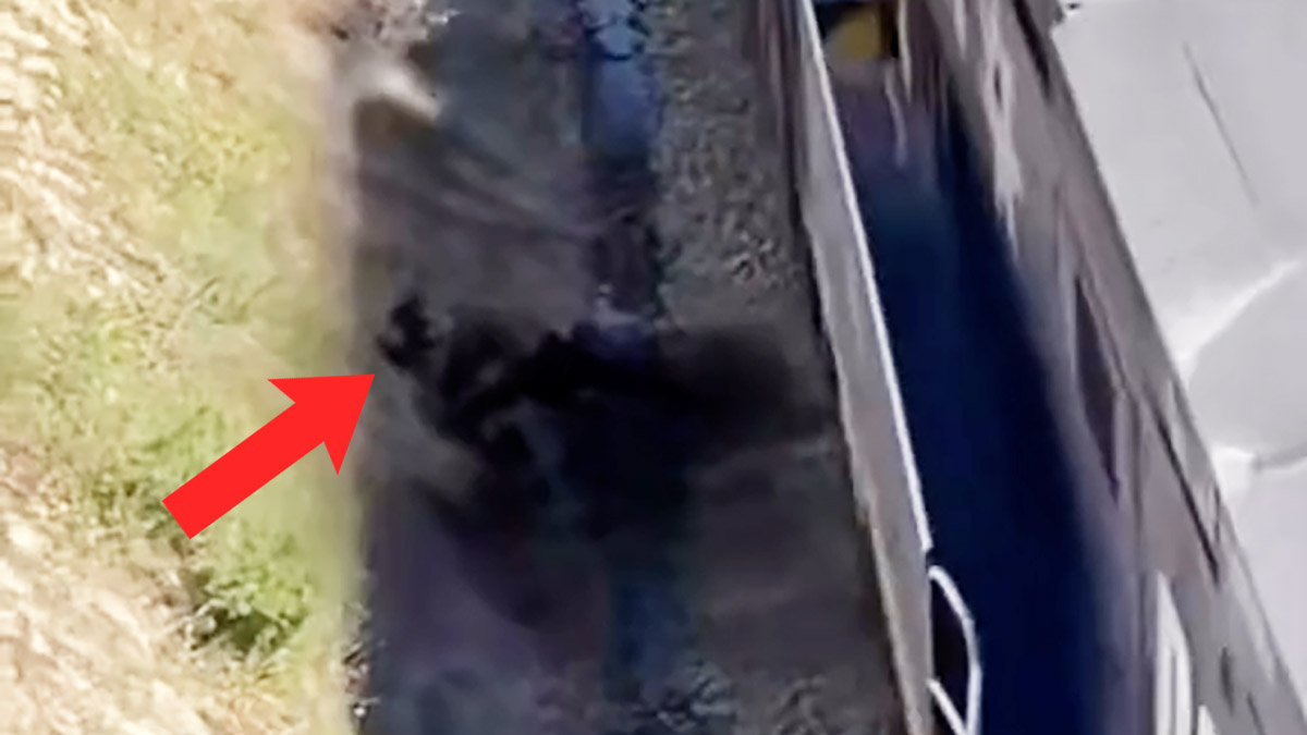A TikTok video was posted that showed a man rescuing a dog tied to railroad tracks the instant before a train would have hit both of them.