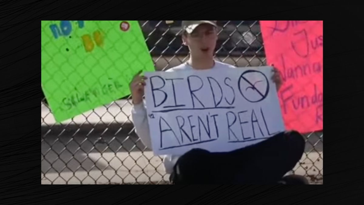 birds aren't real