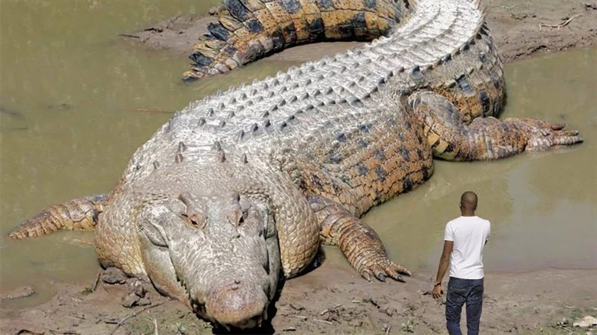This ad falsely claimed Man Tries To Save Giant Crocodile and You Won’t Believe What He Found Inside.
