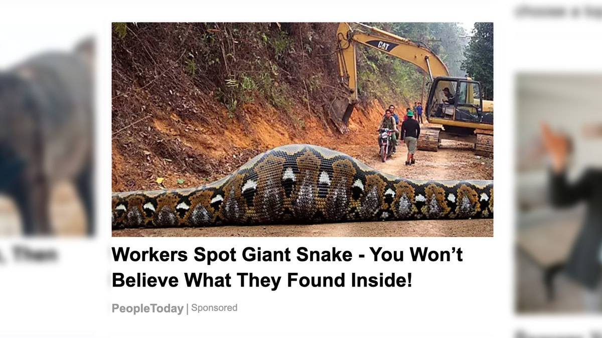 An ad claimed that workers spot giant snake and you won't believe what they found inside.