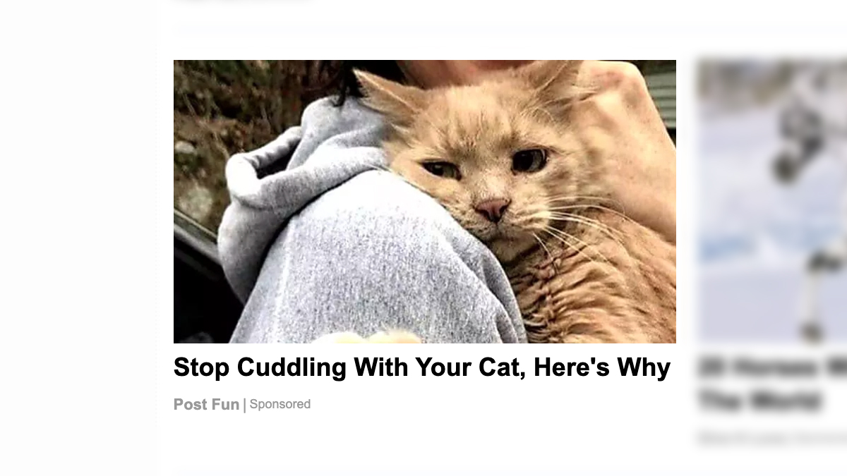 Stop Cuddling With Your Cat Here's Why is what a misleading online advertisement said.