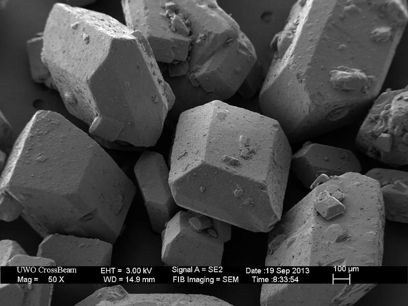Grains of sugar under electron microscope
