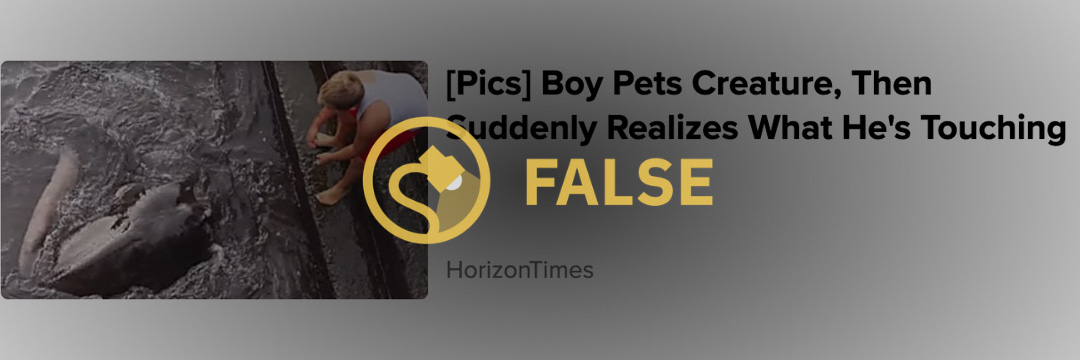 Misleading online ads said Boy Pets Creature Before Realizing What It Is and another said Boy Pets Creature Then Suddenly Realizes What He's Touching.