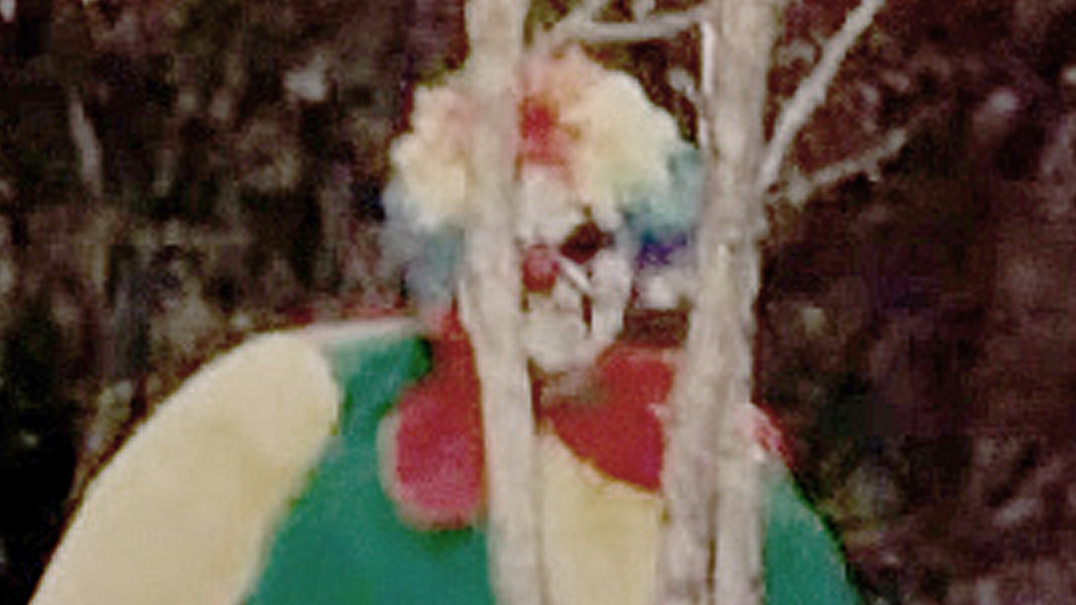 Sprinkles the Killer Clown is an urban legend about the Appalachian Mountains and the year 1973 and may have had origins in Limestone New York.