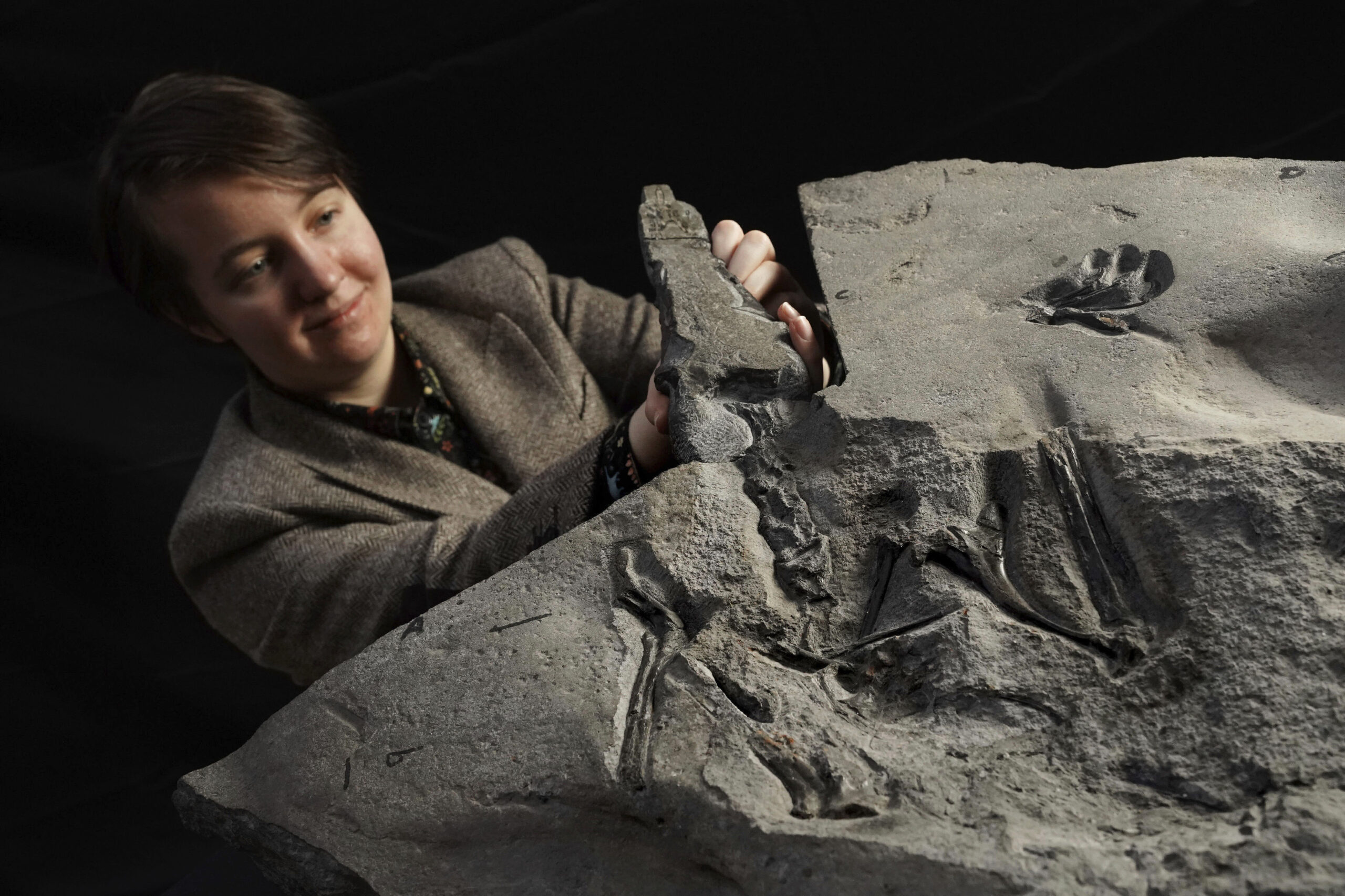 In this undated photo issued by the National Museums Scotland on Tuesday, Feb. 22, 2022, University of Edinburgh PhD student Natalia Jagielska poses for a photo with the world's largest Jurassic pterosaur unearthed on the Isle of Skye. The fossil of a 170-million-year-old pterosaur, more popularly known as pterodactyl, billed as the world’s best-preserved skeleton of the prehistoric winged reptile, has been found on the Isle of Skye in remote Scotland. The National Museum of Scotland said the fossil of the pterosaur is the largest of its kind ever discovered from the Jurassic period. (Stewart Attwood/National Museums Scotland via AP)