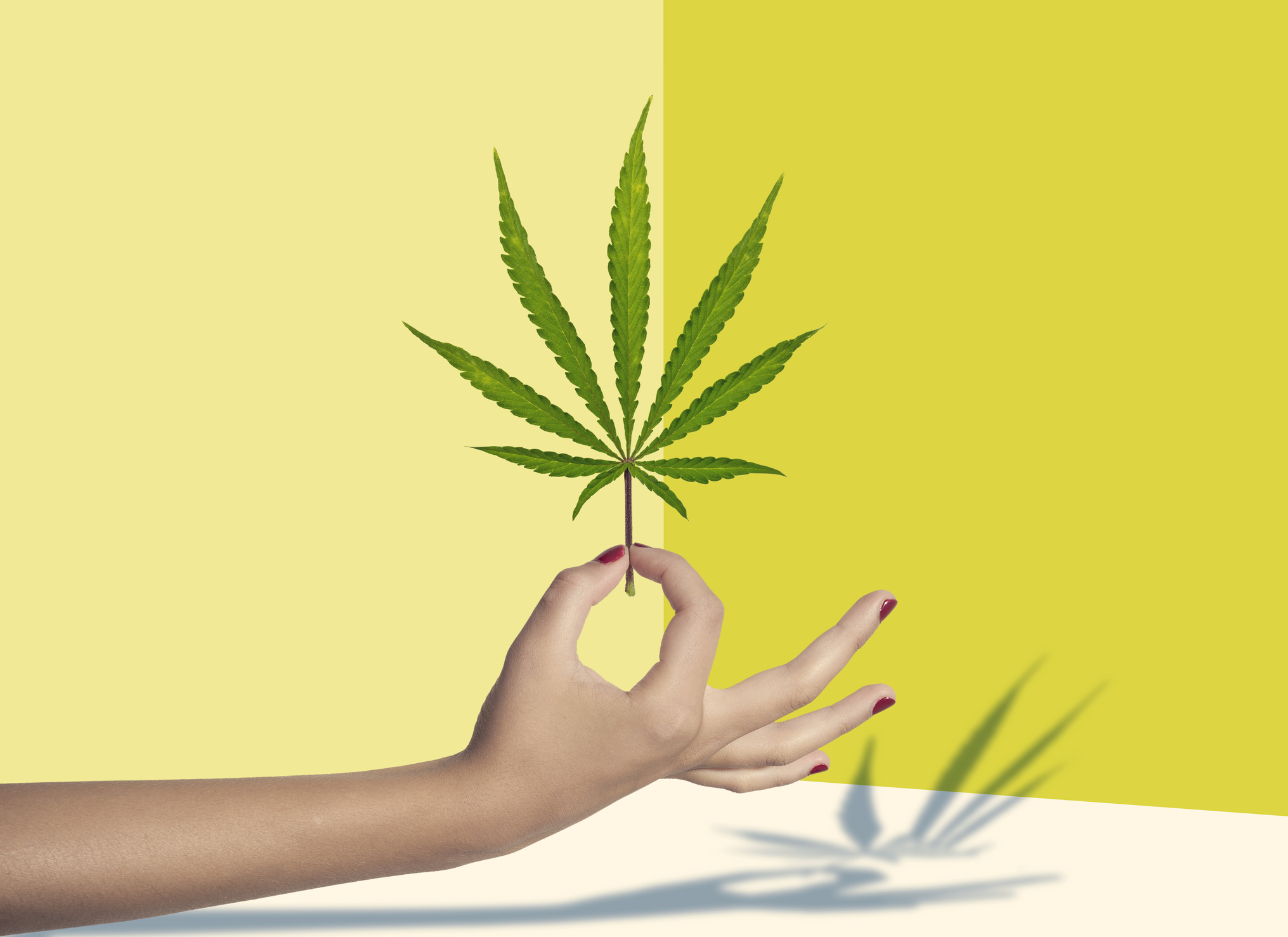 Did Researchers Find Cannabis Compound CBD May Prevent, Treat COVID-19?