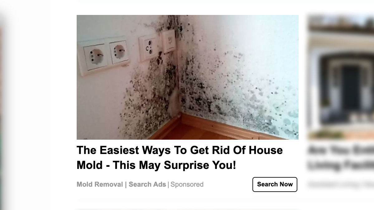 An online ad said the easiest ways to get rid of house mold this may surprise you.