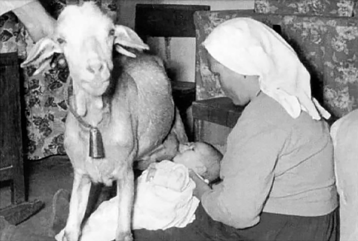 A picture posted to Reddit purportedly showed a mother helping a baby feed from a goat's udders in 1927 in what was described as rural homestead life.