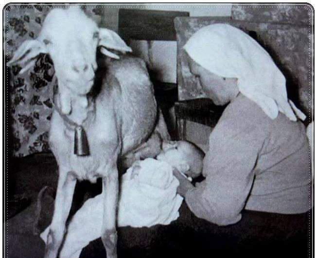 A picture posted to Reddit purportedly showed a mother helping a baby feed from a goat's udders in 1927 in what was described as rural homestead life.