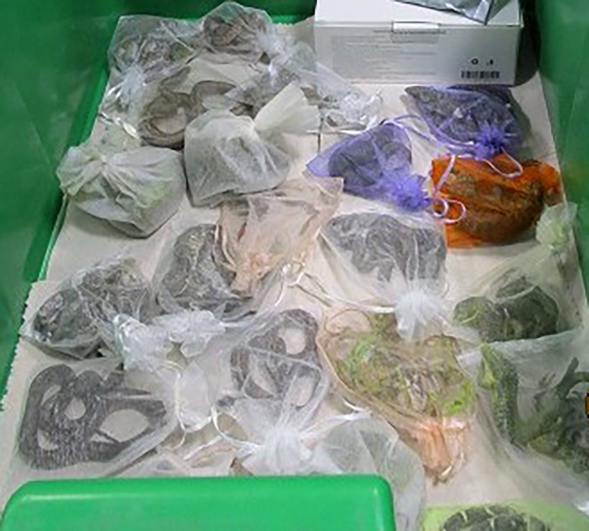This February 2022 photo provided by the U.S. Customs and Border Protection shows snakes in bags found hidden under and in a man's clothes by CBP officers at the San Ysidro, Calif., port of entry. An alleged smuggler who tried to slither past U.S. border agents in California had dozens of lizards and snakes hidden in his clothing, authorities said Tuesday, March 8, 2022 (U.S. Customs and Border Protection via AP)