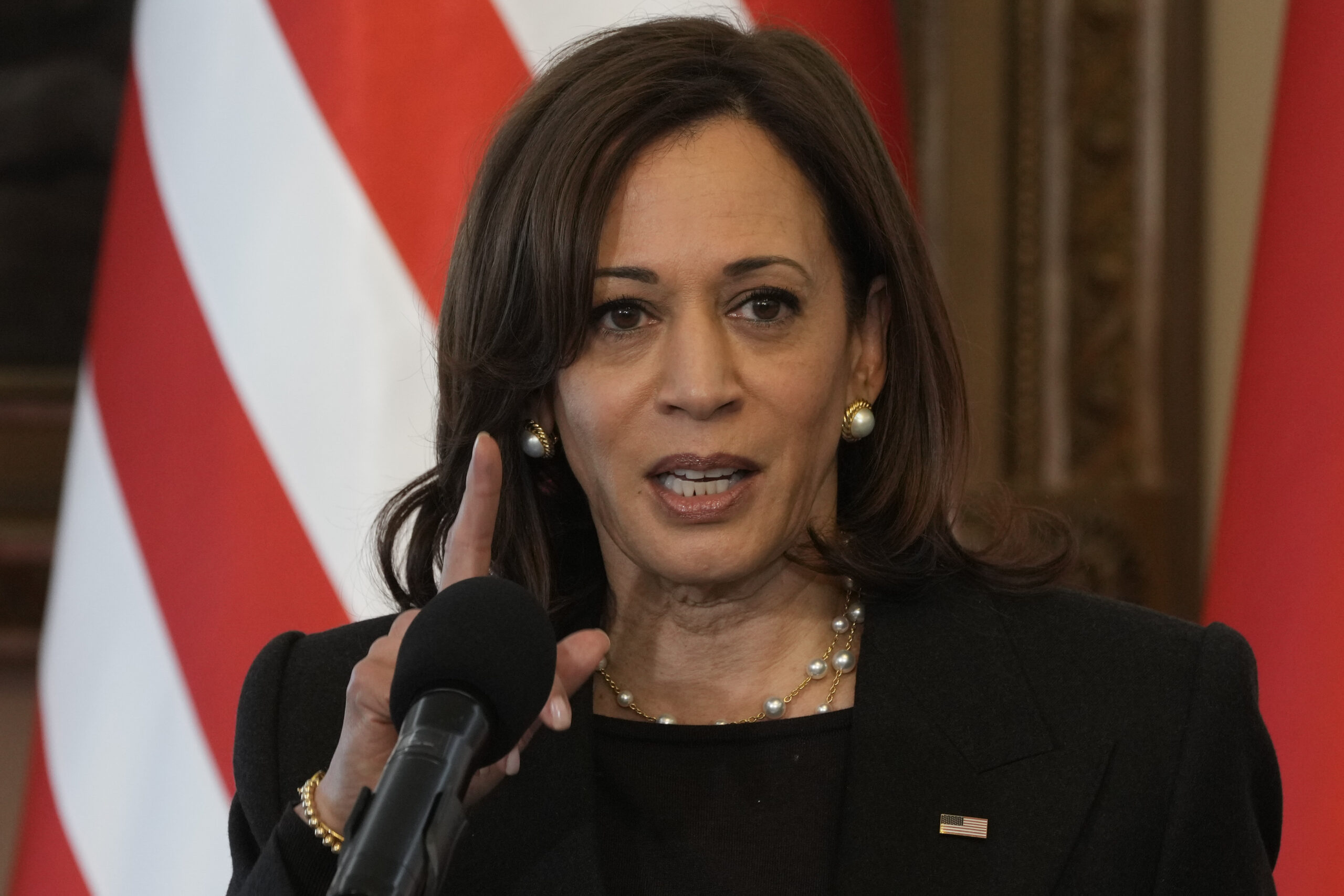 US Vice President Kamala Harris speaks during a joint press conference with Poland's President Andrzej Duda on the occasion of their meeting at Belwelder Palace, in Warsaw, Poland, Thursday, March 10, 2022. (AP Photo/Czarek Sokolowski)