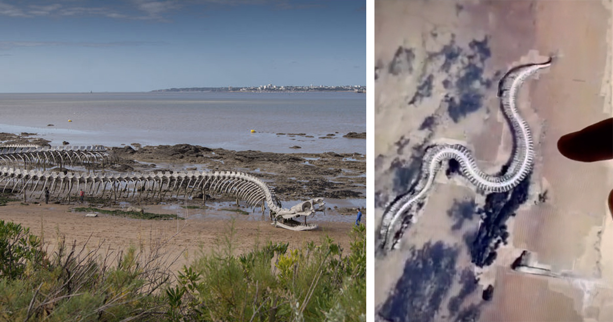 A giant snake skeleton was supposedly found off the coast of France on Google Maps and Google Earth and was purportedly Titanoboa.
